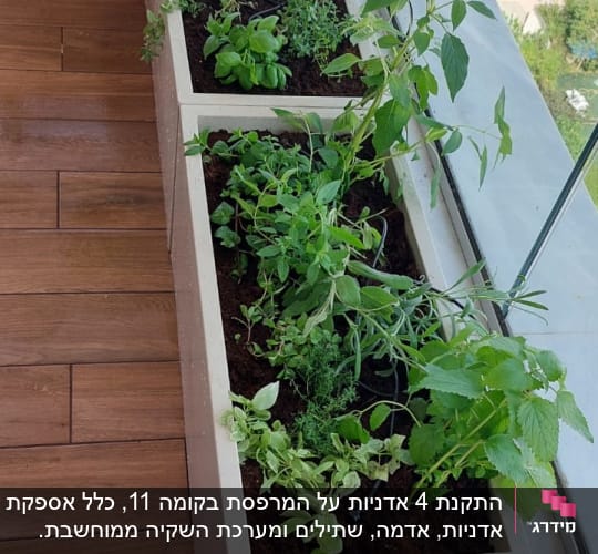 עציצים עם צמחי תבלין על רצפת עץ במרפסת